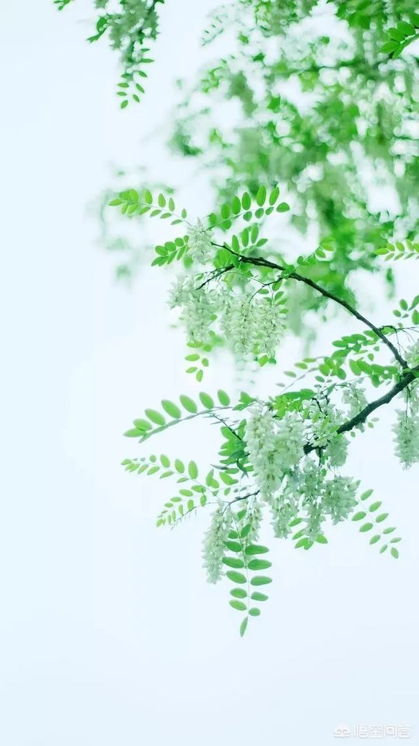 有什么好看的、景色秀丽的壁纸?