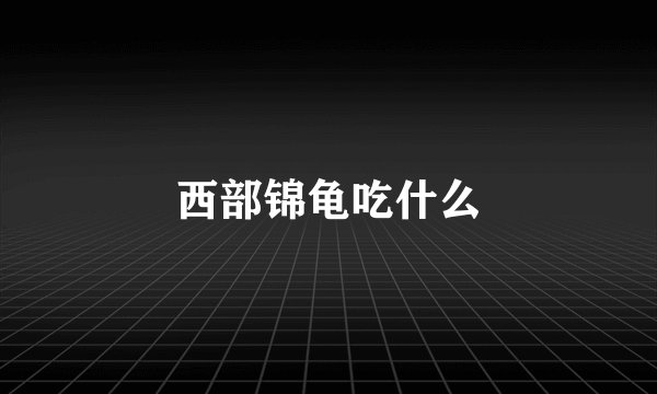 西部锦龟吃什么