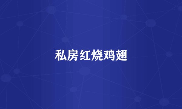 私房红烧鸡翅
