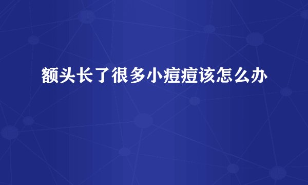 额头长了很多小痘痘该怎么办