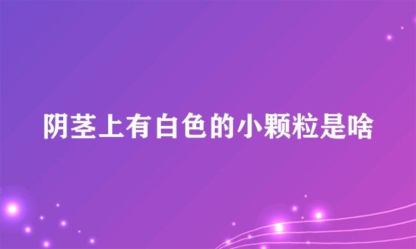 阴茎上有白色的小颗粒是啥