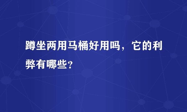 蹲坐两用马桶好用吗，它的利弊有哪些？