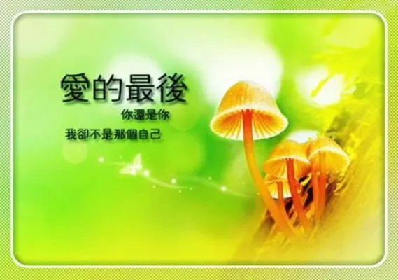 电竞恋人番外成为你的光芒 电竞恋人南野琳儿续写