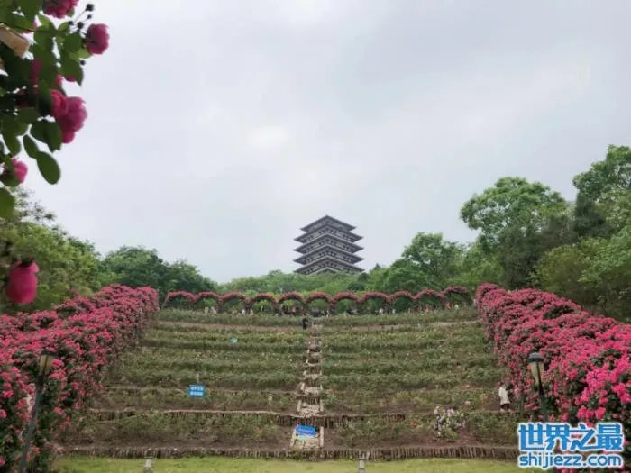资阳周边一日游最佳景点,资阳旅游十大必去景点