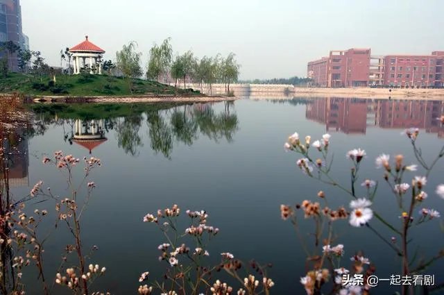 滨州学院怎么样？