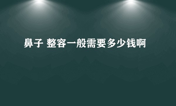 鼻子 整容一般需要多少钱啊