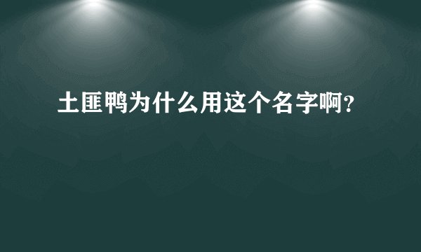 土匪鸭为什么用这个名字啊?