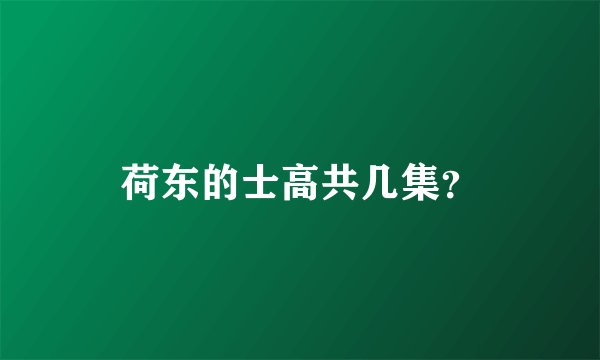 荷东的士高共几集？