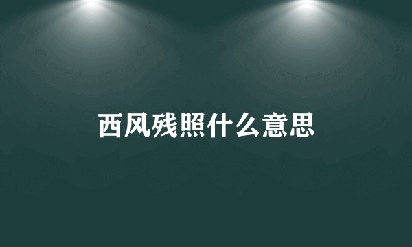 西风残照什么意思