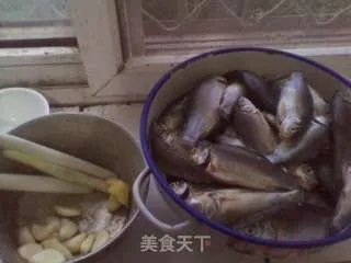 罐头鱼