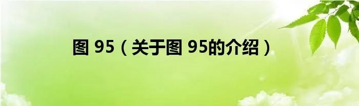 图 95（关于图 95的介绍）