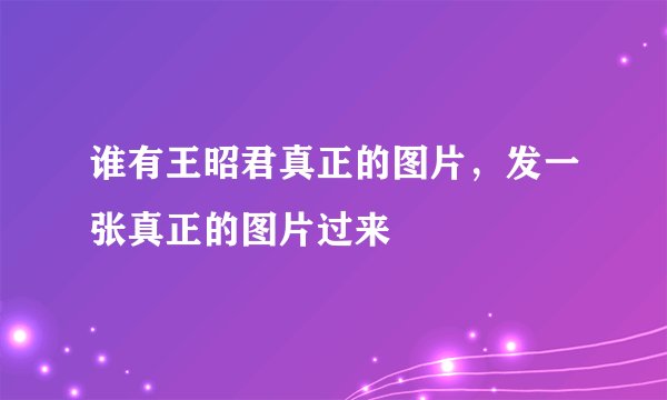 谁有王昭君真正的图片，发一张真正的图片过来