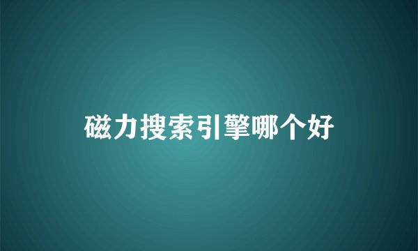 磁力搜索引擎哪个好
