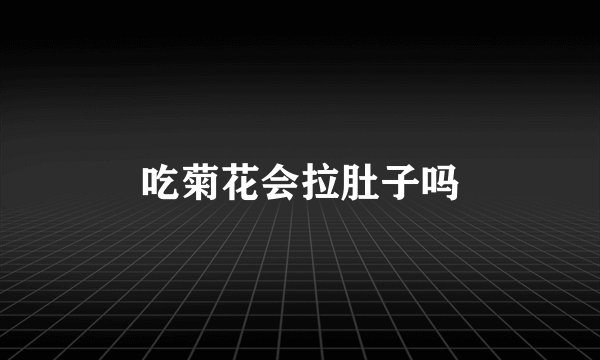 吃菊花会拉肚子吗