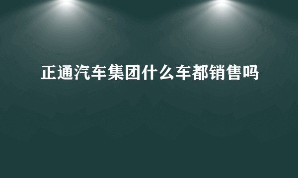 正通汽车集团什么车都销售吗