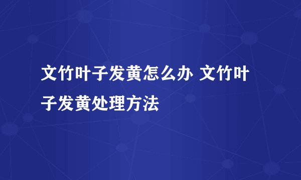 文竹叶子发黄怎么办 文竹叶子发黄处理方法