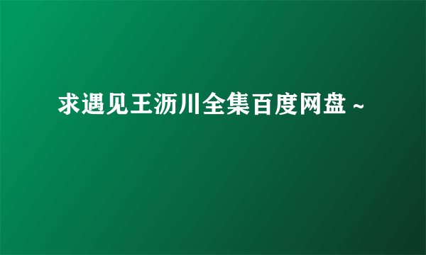 求遇见王沥川全集百度网盘～