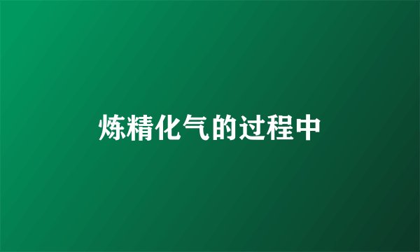 炼精化气的过程中