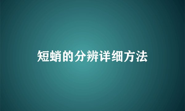 短蛸的分辨详细方法