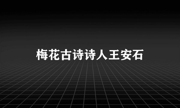 梅花古诗诗人王安石
