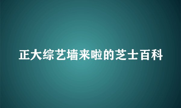 正大综艺墙来啦的芝士百科