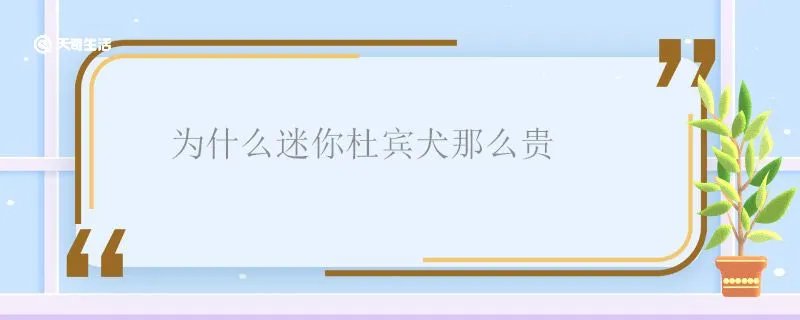 为什么迷你杜宾犬那么贵