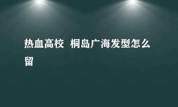 热血高校  桐岛广海发型怎么留