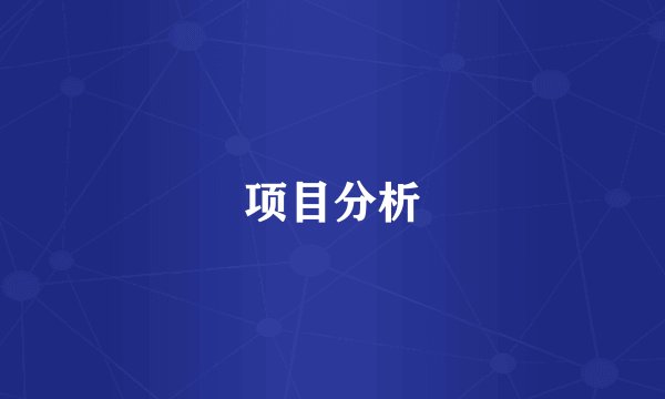 项目分析