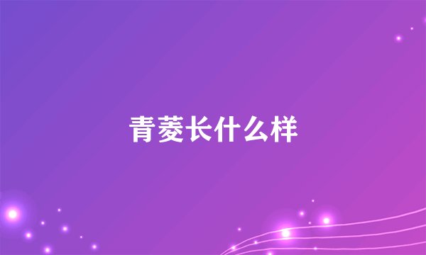 青菱长什么样