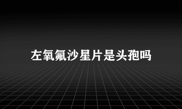 左氧氟沙星片是头孢吗