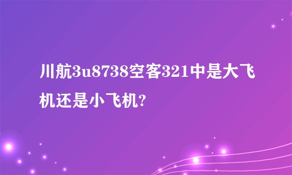 川航3u8738空客321中是大飞机还是小飞机?