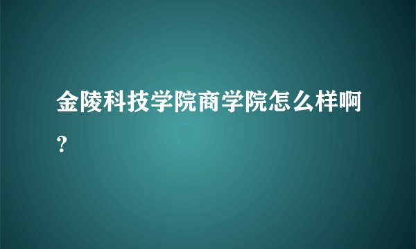 金陵科技学院商学院怎么样啊？