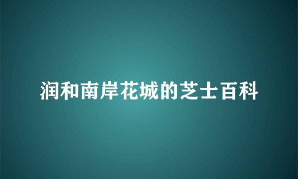 润和南岸花城的芝士百科
