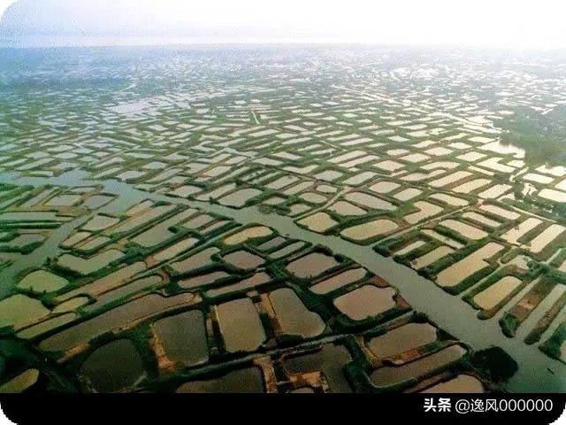 鱼塘怎样设计才好?