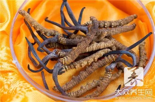 冬虫夏草这种名贵药材究竟该如何吃呢?