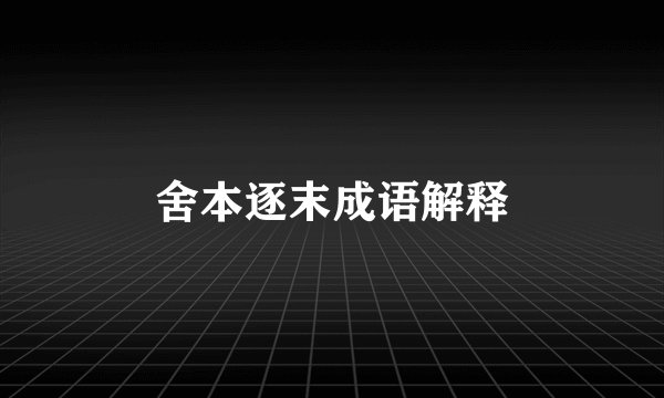 舍本逐末成语解释