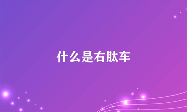 什么是右肽车