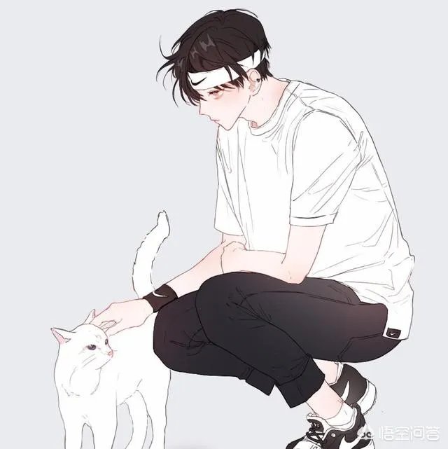 怎么自学插画?
