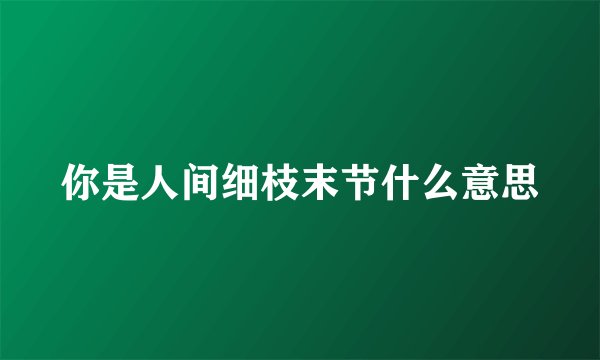 你是人间细枝末节什么意思