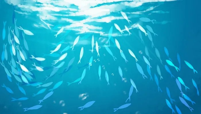 海洋美人鱼是指哪一种动物 美人鱼是指什么海洋动物