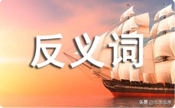 照例的反义词