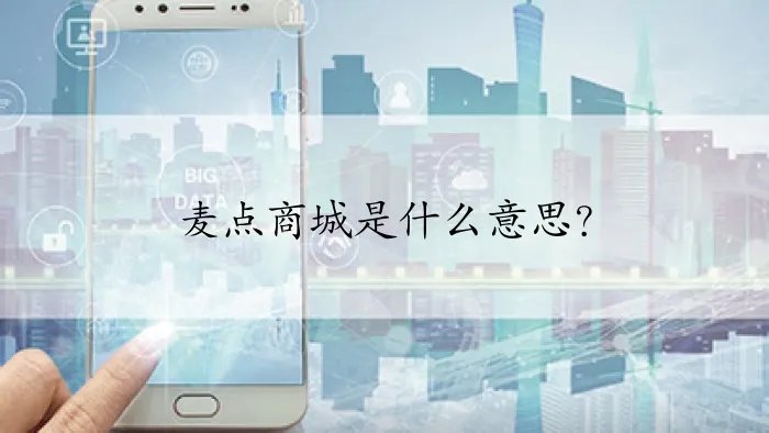 麦点商城是什么意思？
