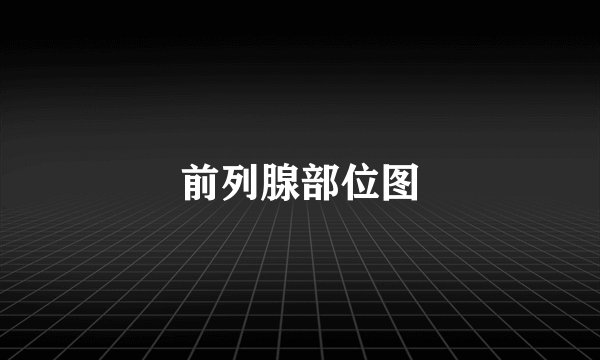 前列腺部位图