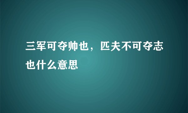 三军可夺帅也，匹夫不可夺志也什么意思