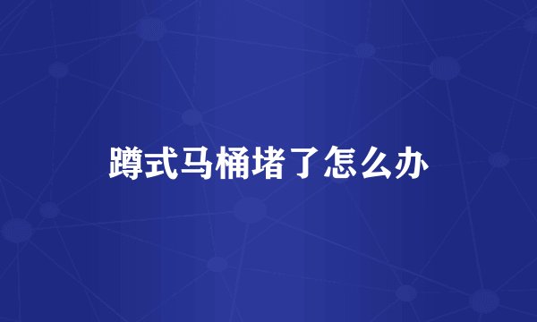 蹲式马桶堵了怎么办