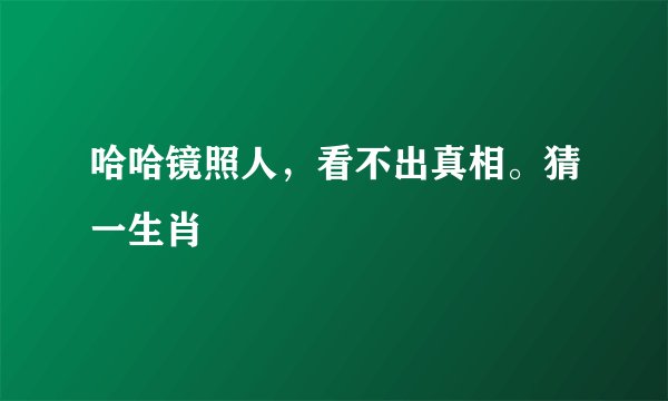 哈哈镜照人，看不出真相。猜一生肖