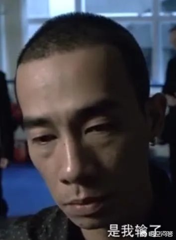 最强大脑鲍橒那么聪明,为什么只是围棋业余6段?