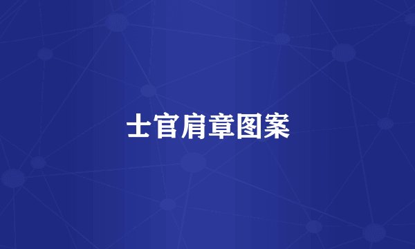 士官肩章图案