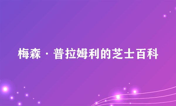 梅森·普拉姆利的芝士百科