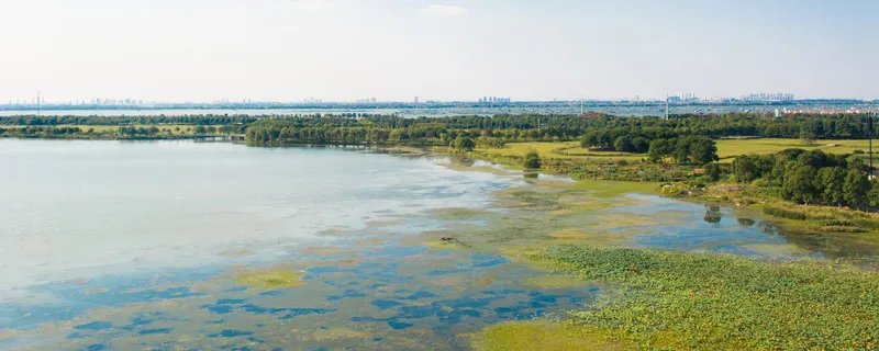 爱尔兰是哪个国家的 爱尔兰在哪里